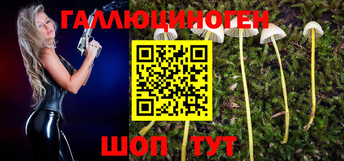 Псилоцибиновые грибы мухоморы Гуково