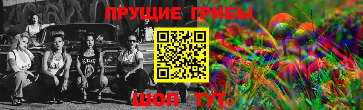 Псилоцибиновые грибы Psilocybine cubensis  наркошоп  Гуково  Вход с VPN  Псилоцибиновые грибы GOLDEN TEACHER 